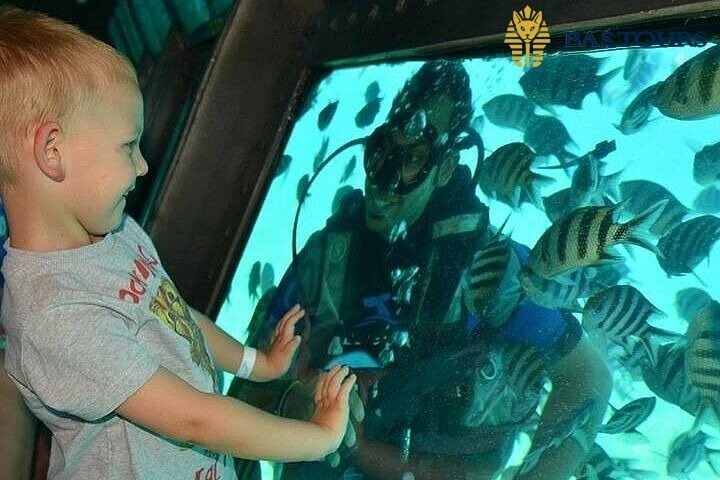 Excursion – Semi-Submarine from Marsa Alam