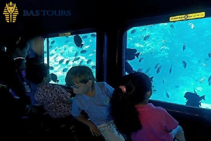 Ideal for Families & Non-Swimmers