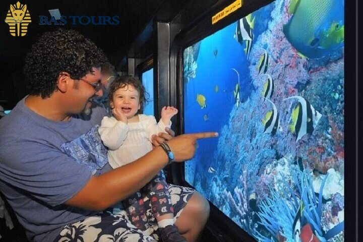 Soft Drinks Onboard & Comfortable Seating