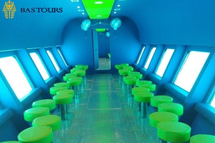 Diver Show & Live Marine Commentary