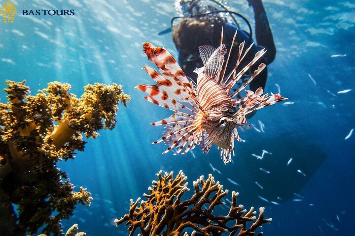 Hurghada Diving Boat Tour – Red Sea Group Diving Trip