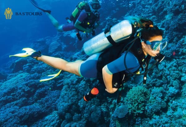Hurghada Diving Boat Tour – Red Sea Group Diving Trip
