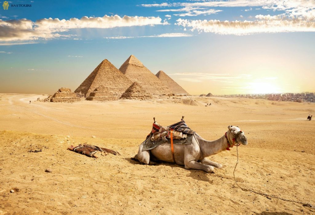 Private Cairo Tour from Hurghada – Giza Pyramids, Sphinx & Egyptian Museum