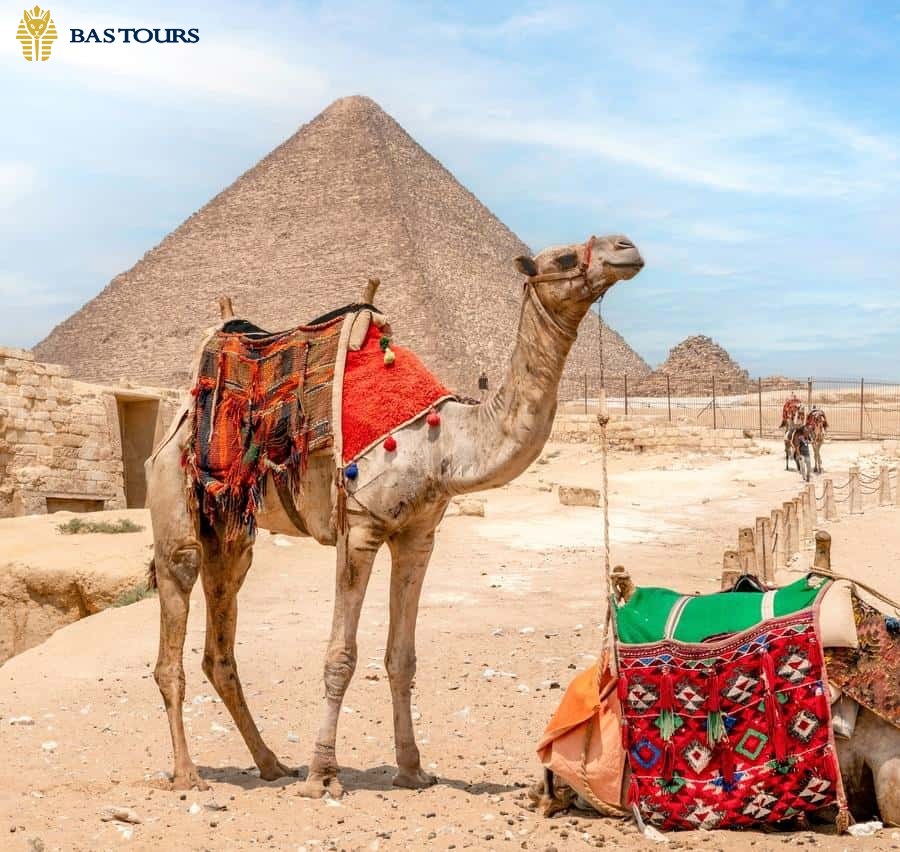 Private Cairo Tour from Hurghada – Giza Pyramids, Sphinx & Egyptian Museum
