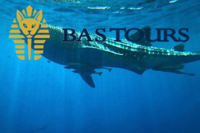 Hurghada Glass Bottom Boat: Giftun Island Tour with Snorkeling & Buffet Lunch