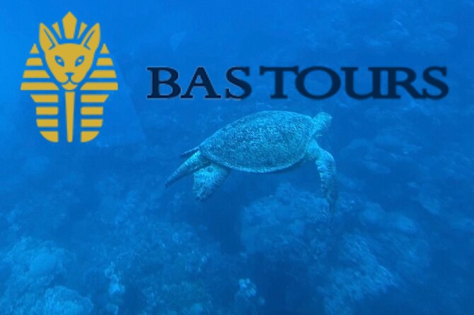 Hurghada Glass Bottom Boat: Giftun Island Tour with Snorkeling & Buffet Lunch