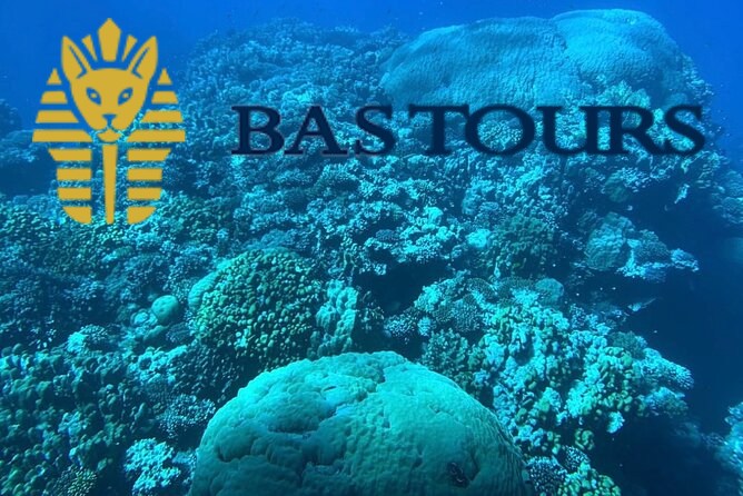 Hurghada Glass Bottom Boat: Giftun Island Tour with Snorkeling & Buffet Lunch