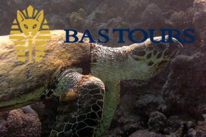 Hurghada Glass Bottom Boat: Giftun Island Tour with Snorkeling & Buffet Lunch