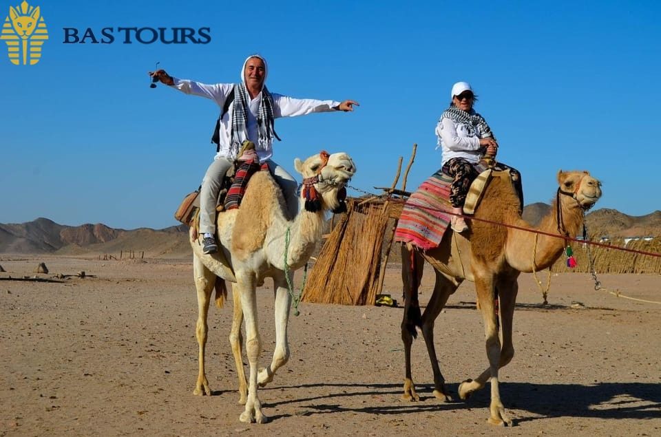 Day 4: Camel & Horse Ride Tours in the Desert – Travel Like the Ancients