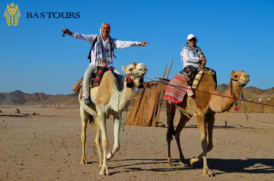 Camel Ride Experience: A Peaceful Journey Through the Sands