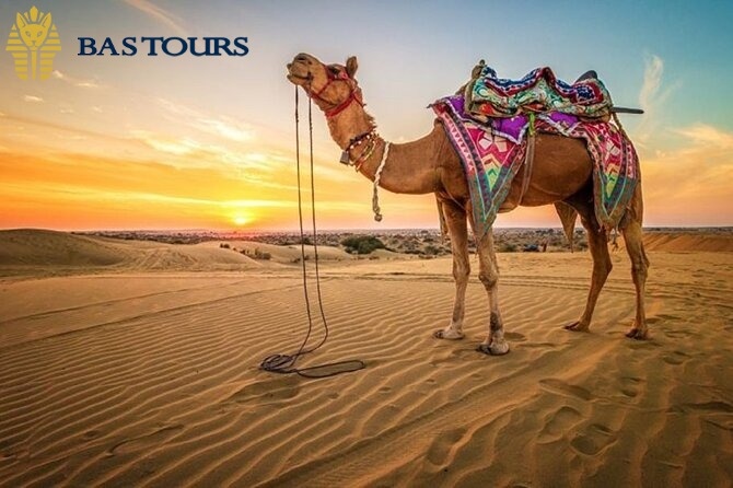 Camel Ride Experience: A Peaceful Journey Through the Sands