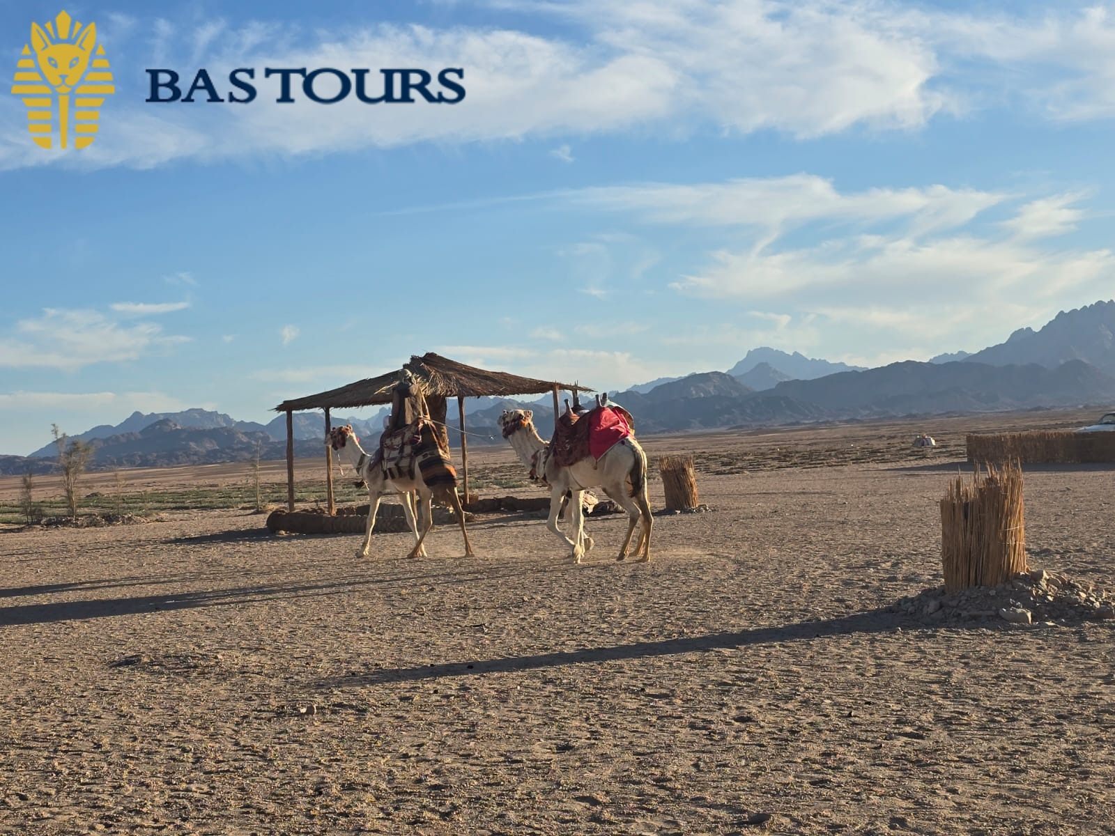 desert safari hurghada