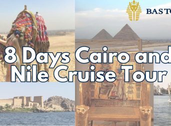 8 Days Cairo and Nile Cruise Tour