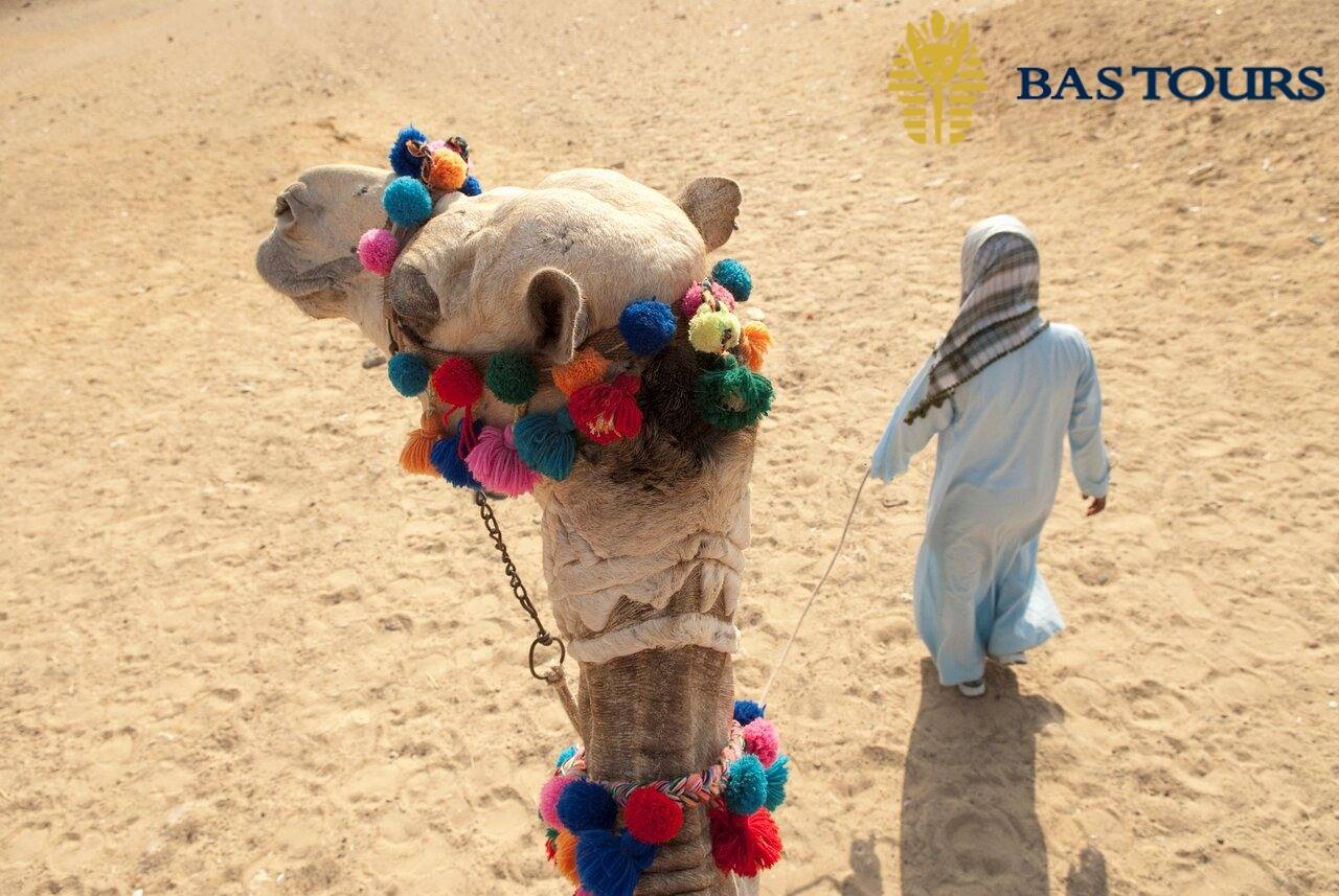 9 days egypt travel packages