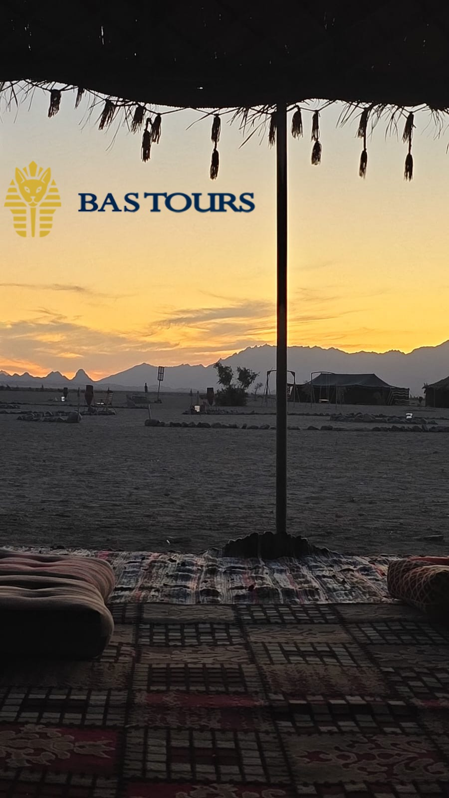 Desert Adventure & Bedouin Campfire Night