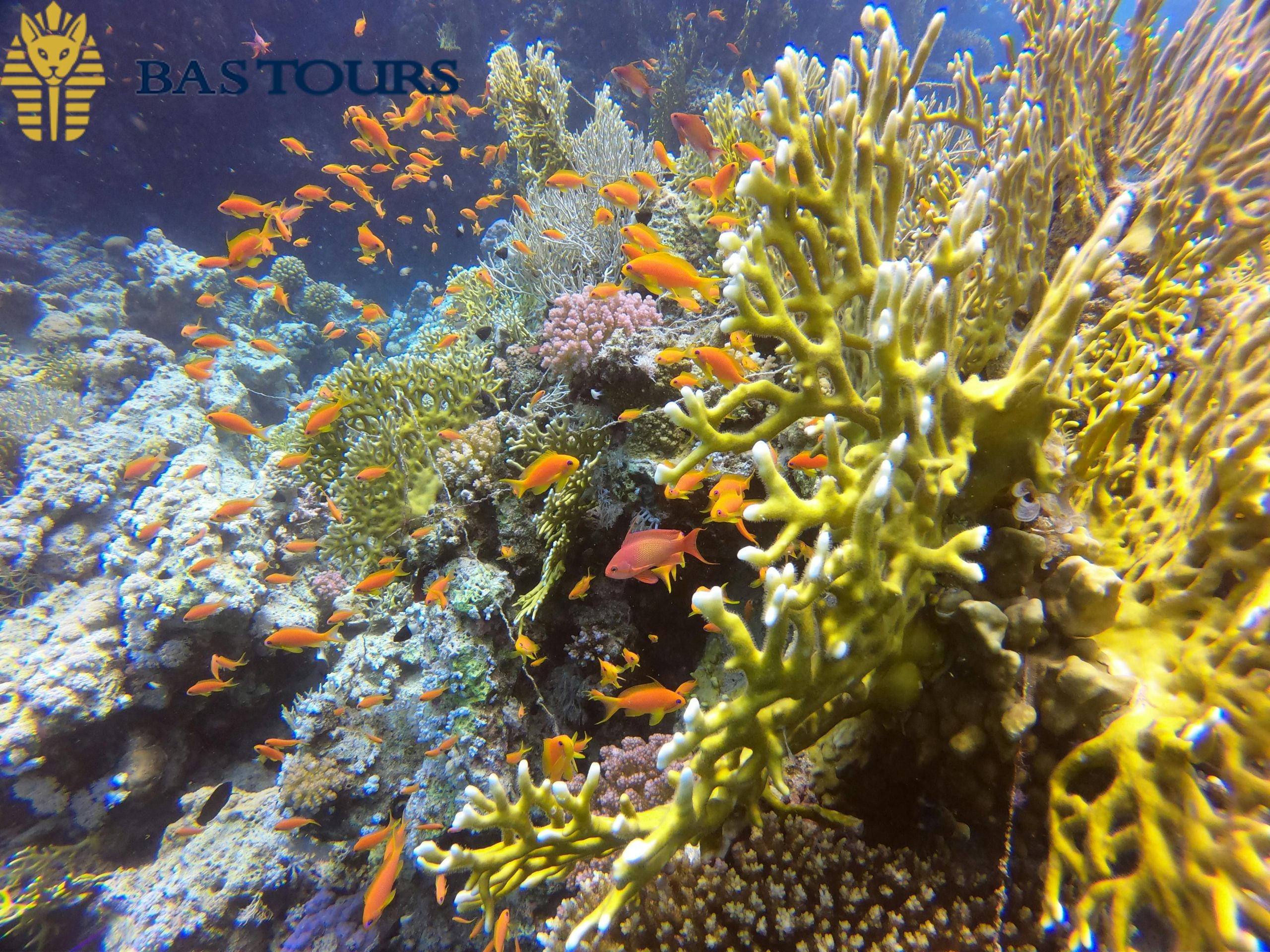 Hurghada Leisure Day – Beach, Snorkeling & Optional Desert Safari
