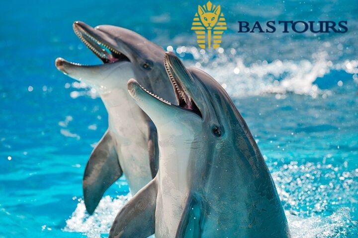 Day 10: Sand City & Dolphin Show Fun – Art, Culture, and Family Entertainment