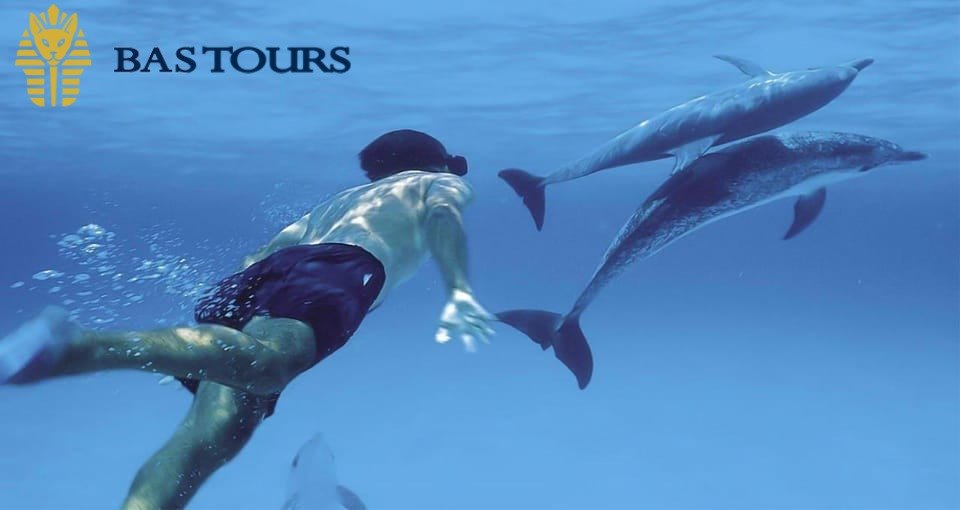 Day 10: Sand City & Dolphin Show Fun – Art, Culture, and Family Entertainment