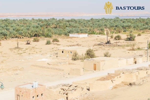 Bahariya Oasis Gateway