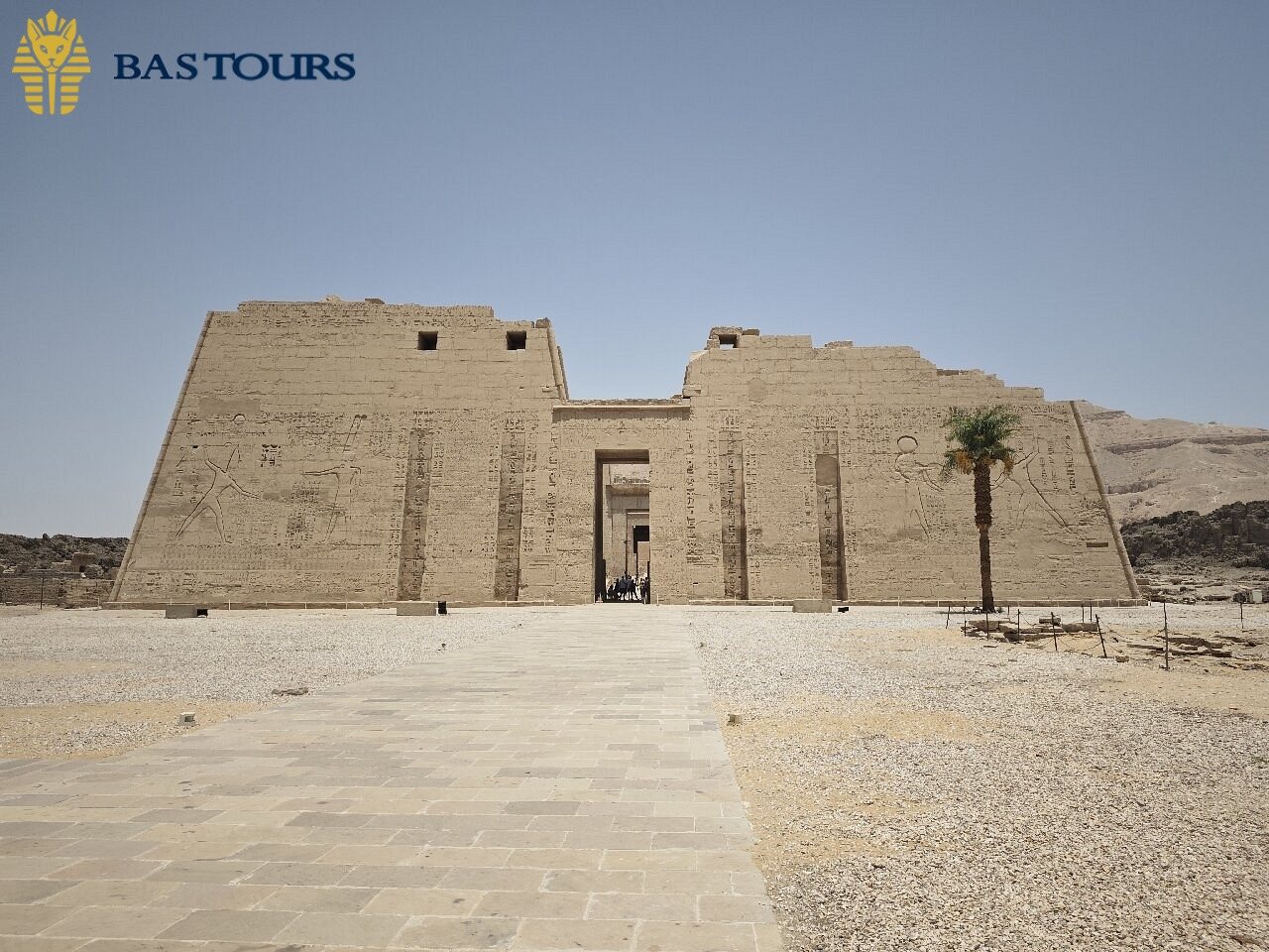 Day trip from Marsa Alam to Luxor with an Egyptologist, private