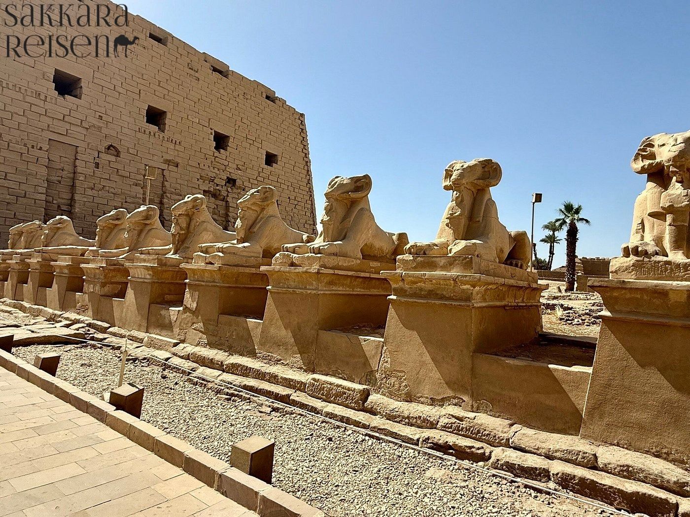 Day trip from Marsa Alam to Luxor with an Egyptologist, private