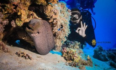 Hurghada Diving Boat Tour – Red Sea Group Diving Trip