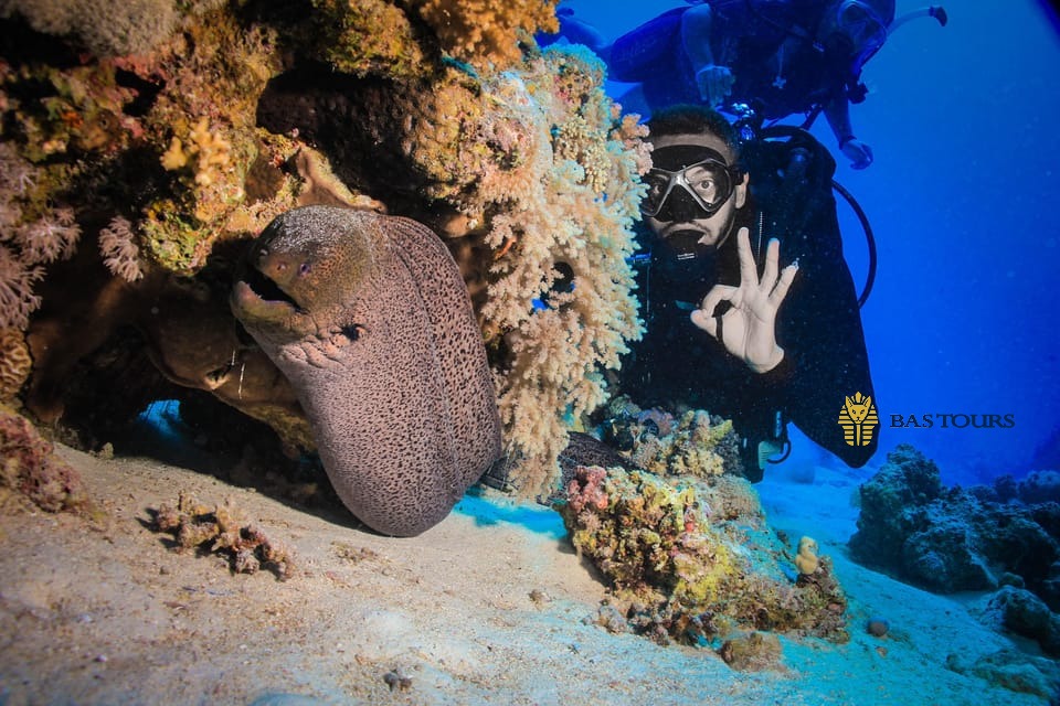 Hurghada Diving Boat Tour – Red Sea Group Diving Trip