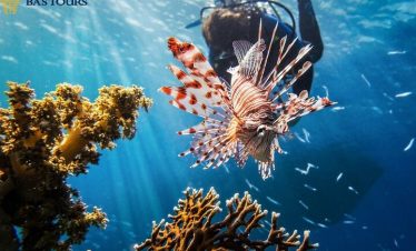 Hurghada Diving Boat Tour – Red Sea Group Diving Trip