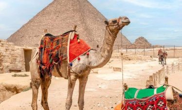Private Cairo Tour from Hurghada – Giza Pyramids, Sphinx & Egyptian Museum