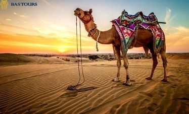 Hurghada Desert Safari: Quad, Jeep, Buggy & Camel Adventure with BBQ Dinner