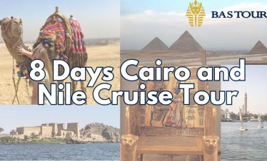 8 Days Cairo and Nile Cruise Tour