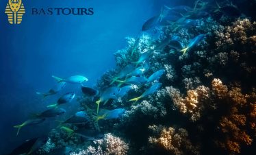 snorkeling excursion