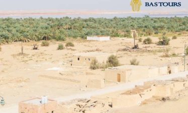 Bahariya Oasis Gateway