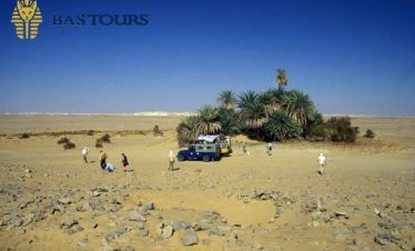 Bahariya Oasis Gateway