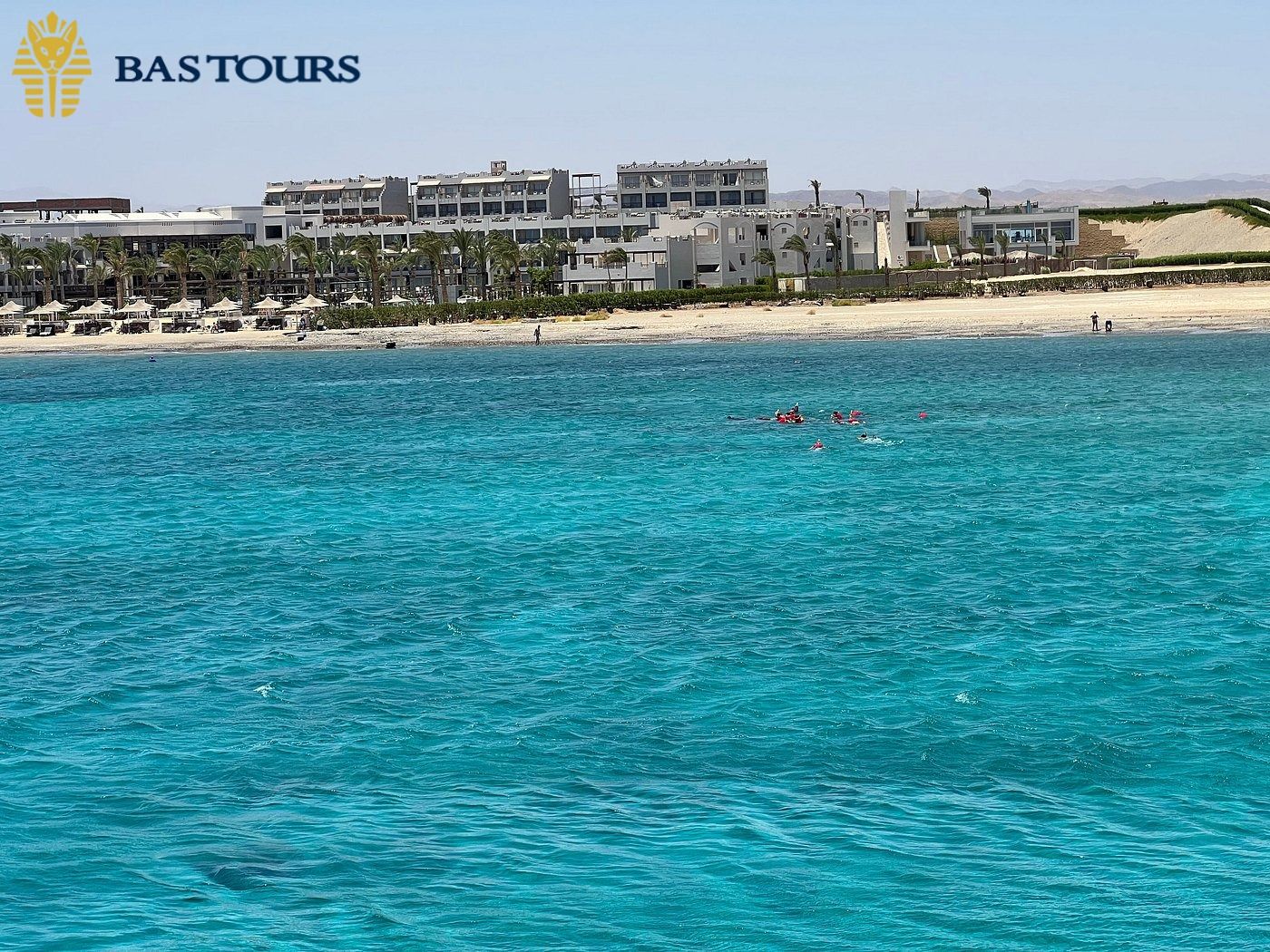 Snorkeling with Turtles and Dugong in Marsa Mubarak Bay - Excursion from Marsa Alam
