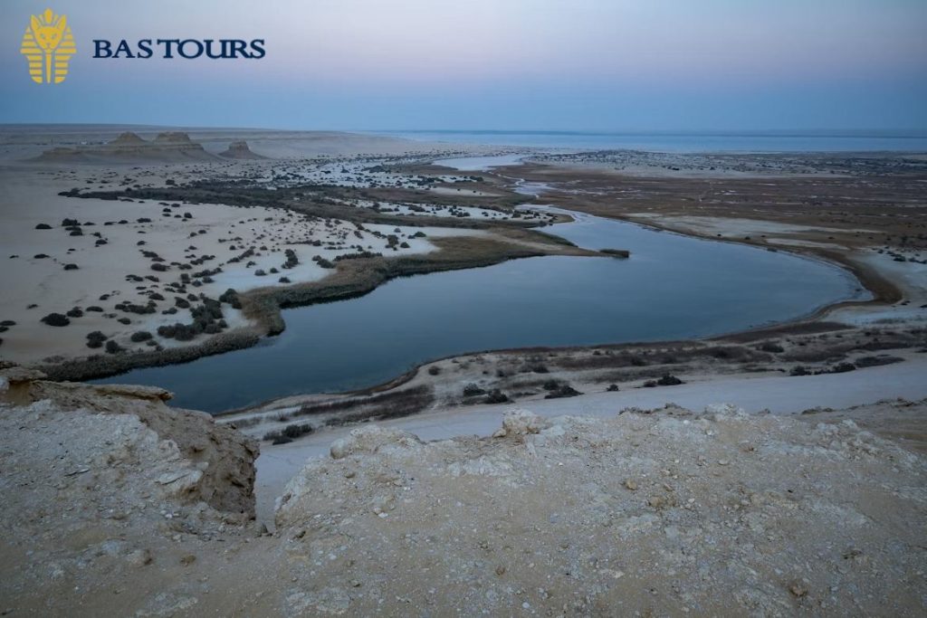 Fayoum Oasis