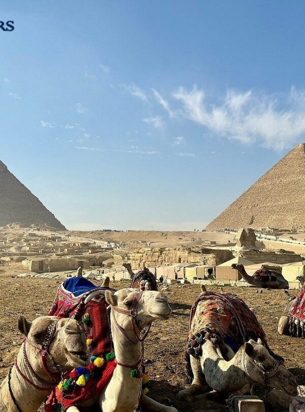 Day Trip from Luxor to Cairo by Plane 2026