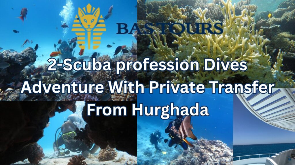 2-Scuba profession Dives Adventure With Private Transfer From Hurghada