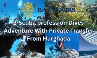 2-Scuba profession Dives Adventure With Private Transfer From Hurghada