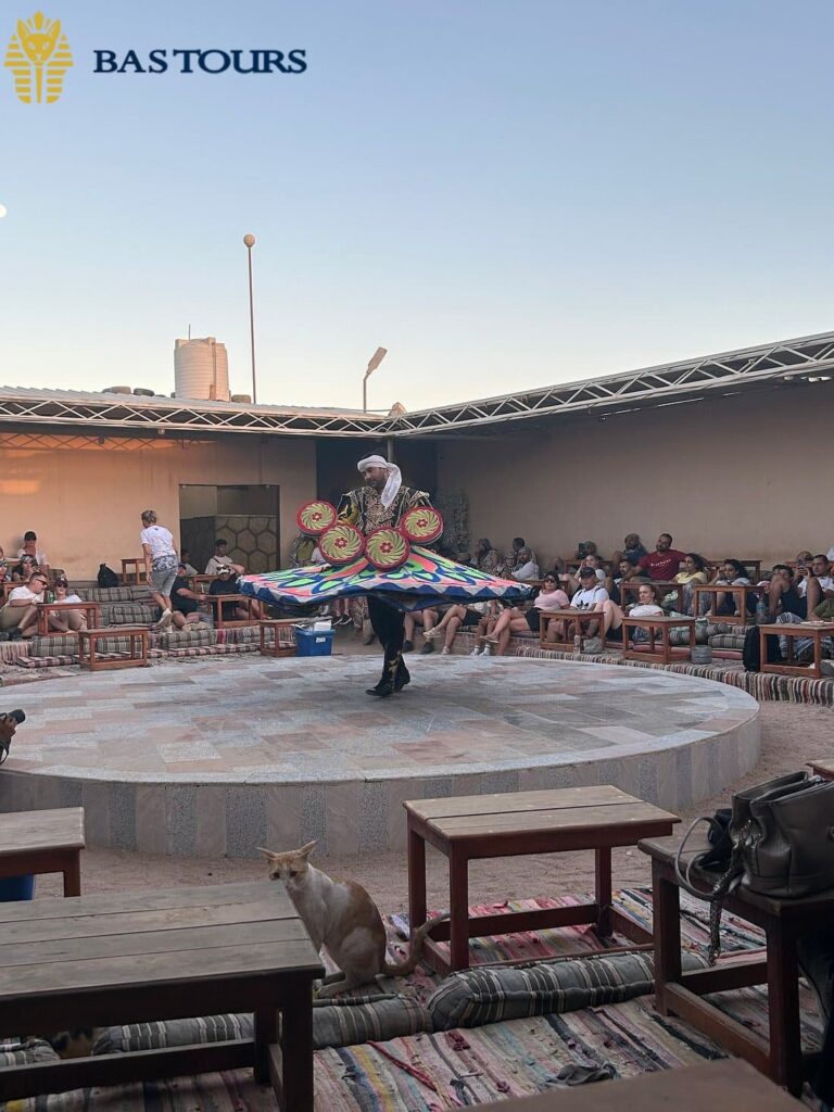 Desert Terrarium Visit