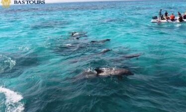 Second Snorkeling Experience – Vibrant Marine Life